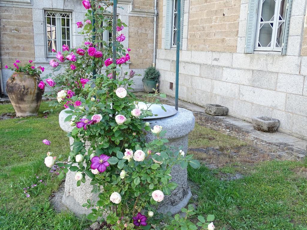 Chateau De Crocq - Chambres D'Hotes De Charme Ngoại thất bức ảnh